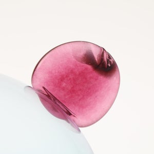 Birds  Festive Kiwi 1095