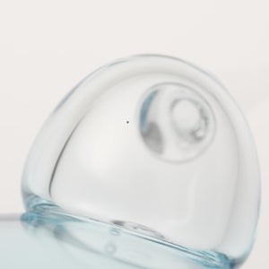 Birds  Festive Kiwi 1100