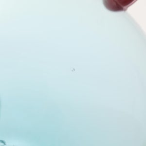 Birds  Festive Kiwi 1121