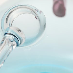 Birds  Festive Kiwi 1124