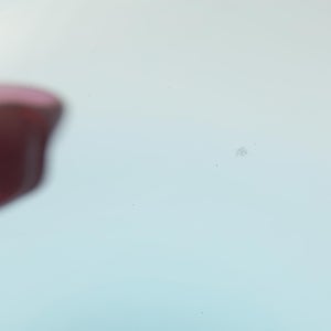 Birds  Festive Kiwi 1128