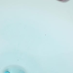 Birds  Festive Kiwi 1129