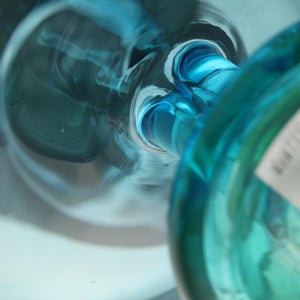 Birds  Festive Kiwi 1132