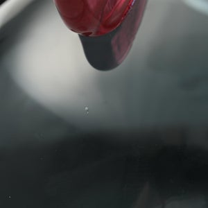 Birds  Festive Kiwi 1139