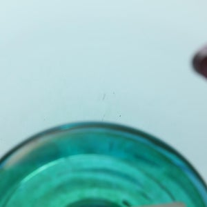 Birds  Festive Kiwi 1152