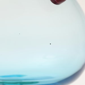 Birds  Festive Kiwi 1250