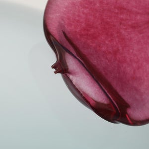 Birds  Festive Kiwi 1129