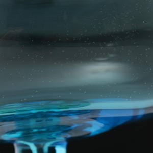 Birds  Festive Kiwi 1090