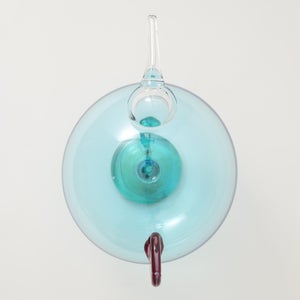 Birds  Festive Kiwi 1117