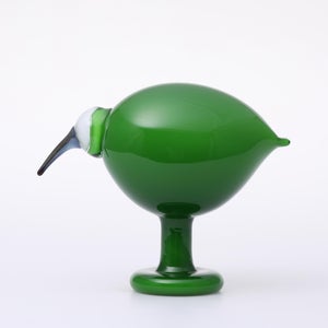 Birds Green Ibis 0172