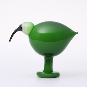 Birds Green Ibis 0220