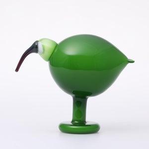 Birds Green Ibis 0221