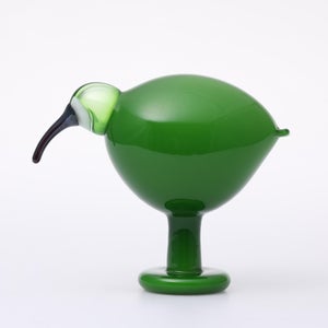 Birds Green Ibis 0222