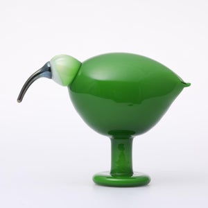 Birds Green Ibis 0224