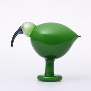 Birds Green Ibis 0225