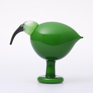 Birds Green Ibis 0226