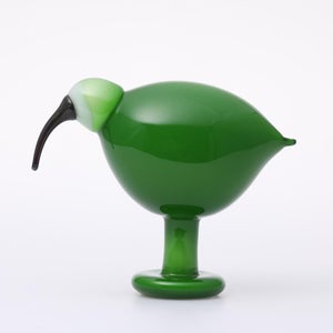 Birds Green Ibis 0229