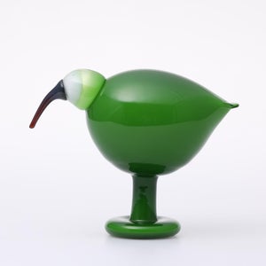 Birds Green Ibis 0233