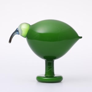 Birds Green Ibis 0234