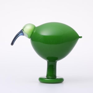 Birds Green Ibis 0235