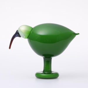 Birds Green Ibis 0237