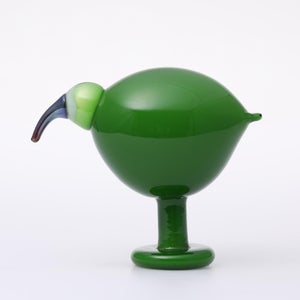 Birds Green Ibis 0238