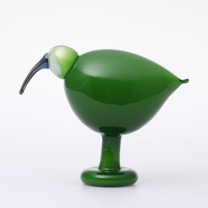 Birds Green Ibis 0241