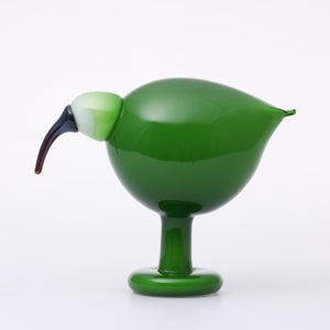 Birds Green Ibis 0243