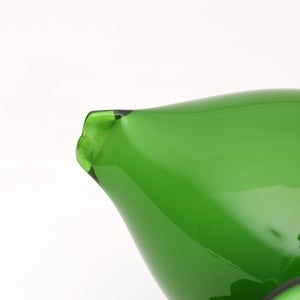 Birds Green Ibis 0169