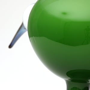 Birds Green Ibis 0172