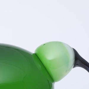 Birds Green Ibis 0220