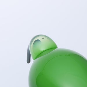 Birds Green Ibis 0225