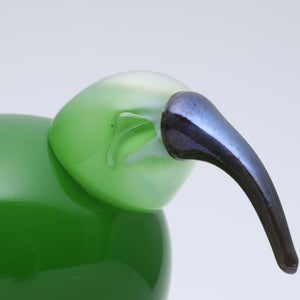 Birds Green Ibis 0226