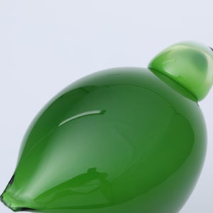 Birds Green Ibis 0233