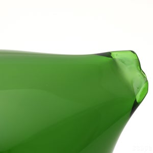 Birds Green Ibis 0169