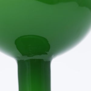 Birds Green Ibis 0232