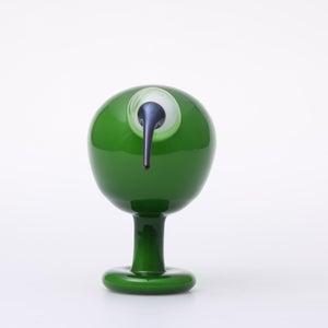 Birds Green Ibis 0233