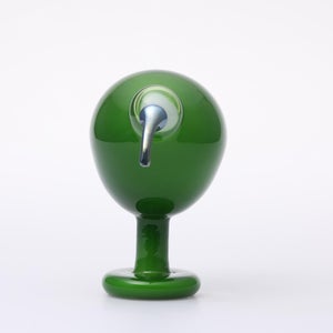 Birds Green Ibis 0234