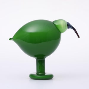 Birds Green Ibis 0198