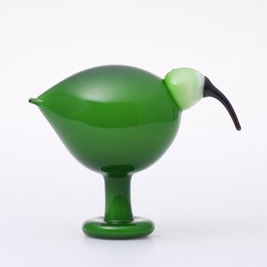 Birds Green Ibis 0220