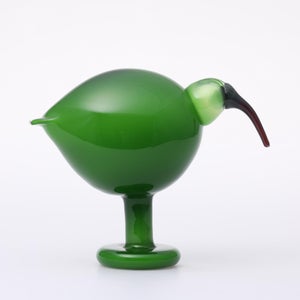 Birds Green Ibis 0221