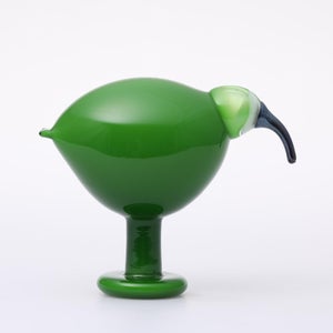 Birds Green Ibis 0228