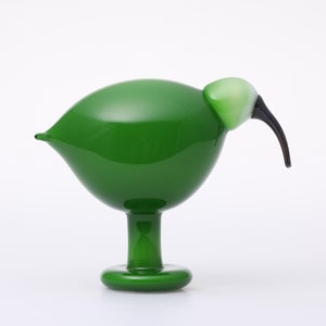 Birds Green Ibis 0229