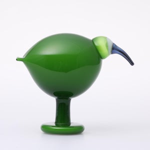 Birds Green Ibis 0239