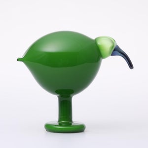 Birds Green Ibis 0240