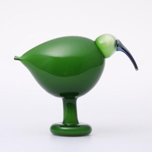 Birds Green Ibis 0241