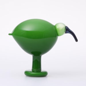 Birds Green Ibis 0244