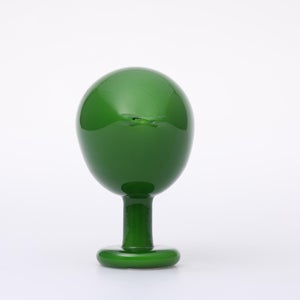 Birds Green Ibis 0238