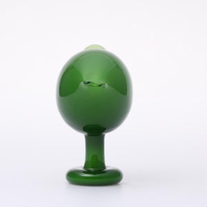 Birds Green Ibis 0241