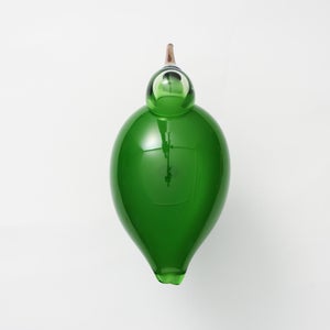 Birds Green Ibis 0169